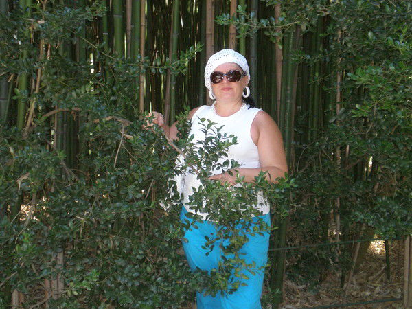 Ирина Петрик