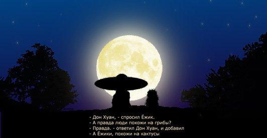 Юрий Комолов