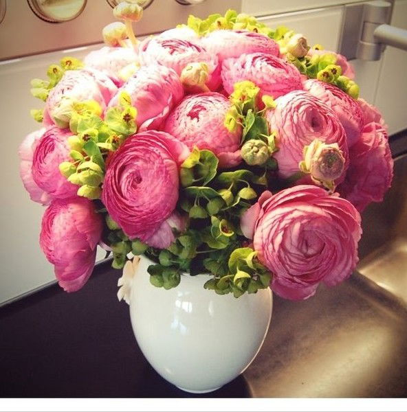 Ирина Андреева