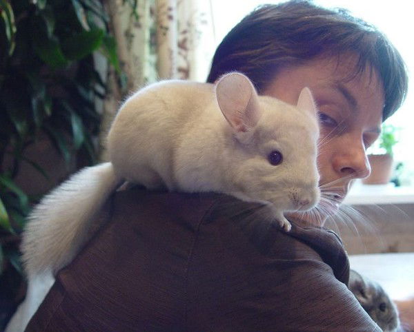 Фотограф Уфа