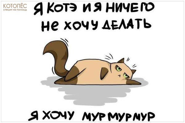 Наталья Пылкова