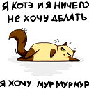 Наталья Пылкова