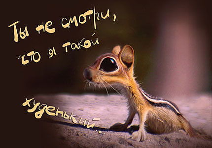 Светлана Светлана