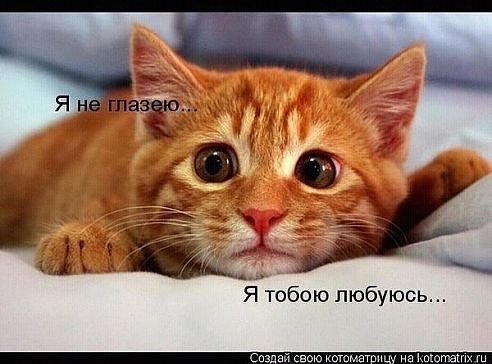 Гирфанова Елена Владимировна