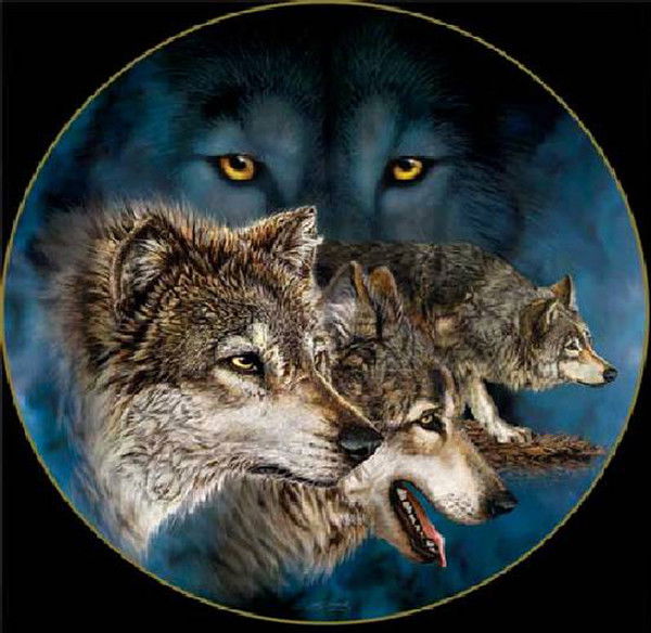 Владимир Колупаев