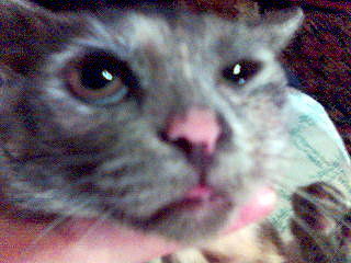 Галина Щербакова