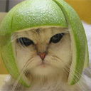 Николай Дзюба