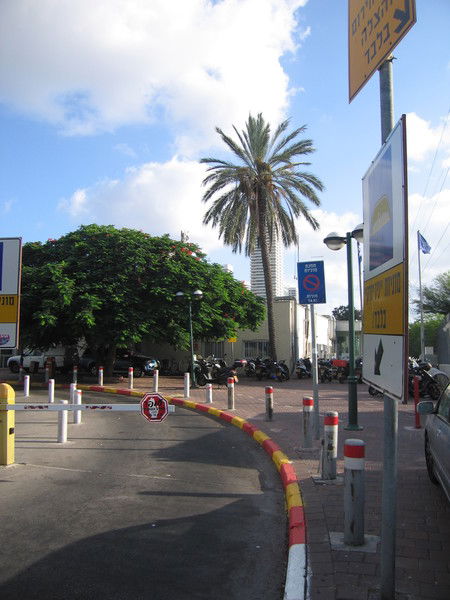 Инна Новикова