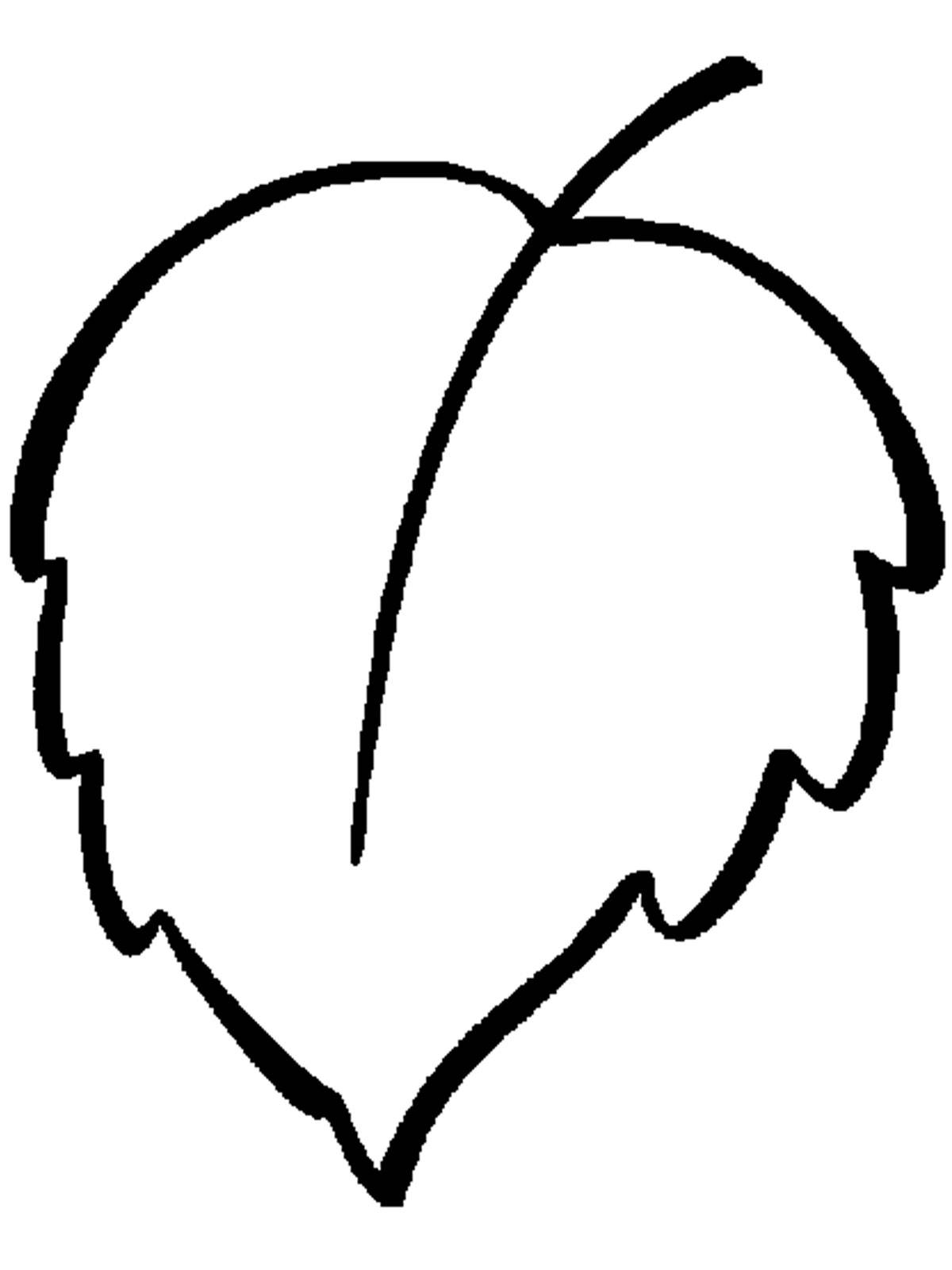 Ермек Досмухамедов