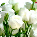 *****nastena *****