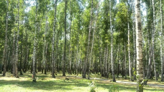 Лариса *******