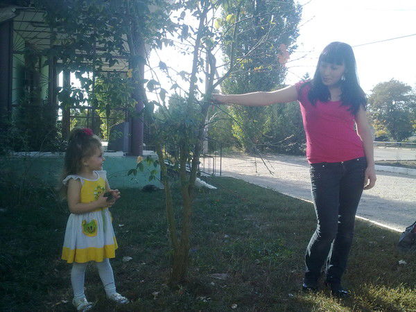 Василий Гавриков