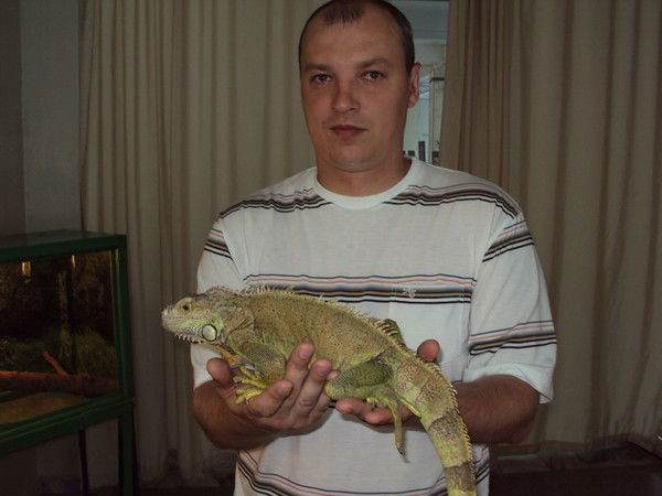 Андрей Голубев