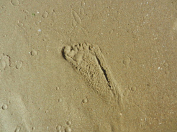 Анна Долматова