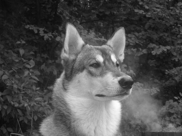 Алексей Любимов