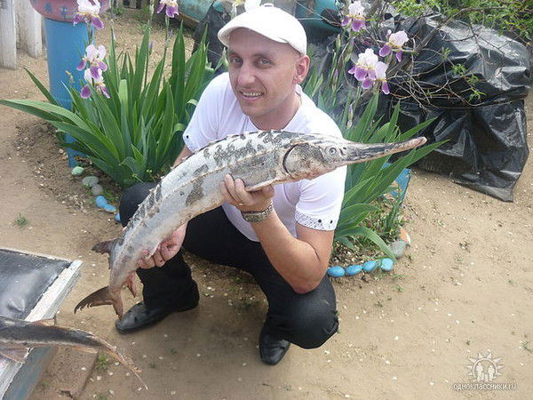 Юрий Кузнецов