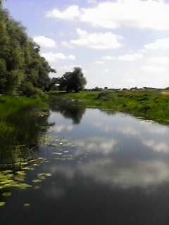 Алексей Гончаров