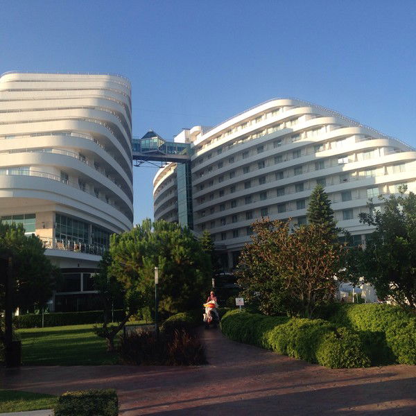 Roman Gogichaishvili