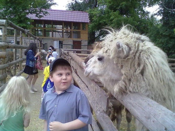 Артем Молчанов