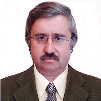 Владимир Минаев