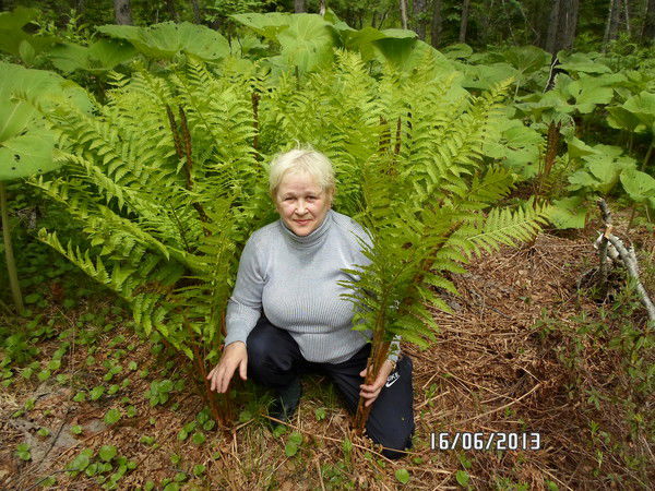 Валентина Барбашова
