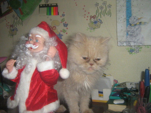 Александр Близнец (Абдыл)