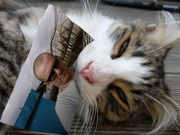 Сергей Ермак