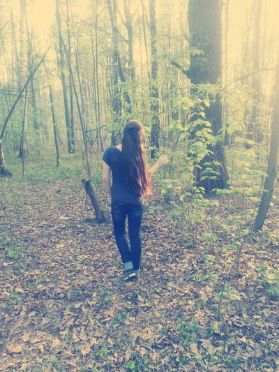 Таня Аврамиди