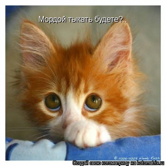 Тамара Сергеева