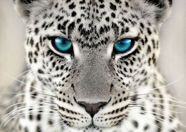 Екатерина Салусенко