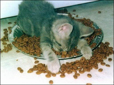 Наталья Гатауллина