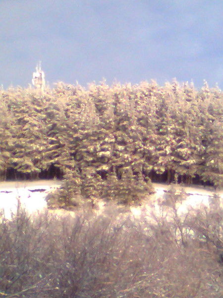 Тахир Кутбитдинов