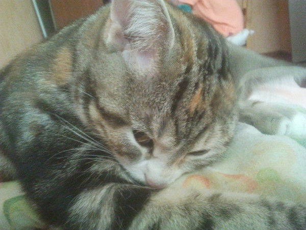 Екатерина Билоган