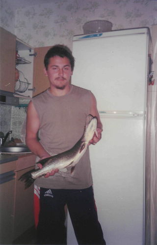 Михаил Веретенников