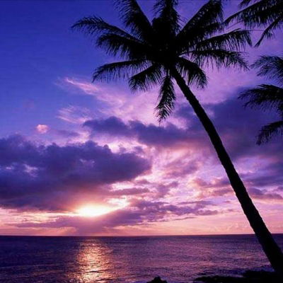 Ирина Соловьёва