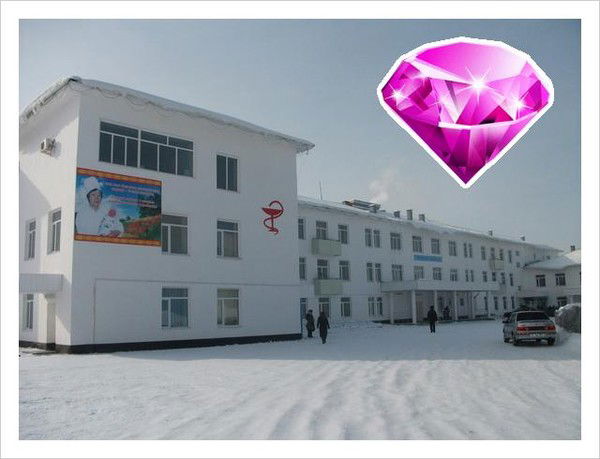 Аксуский Район ***