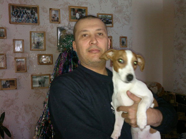 Дмитрий Дворников