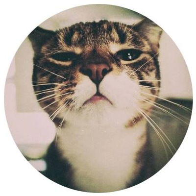 Сэлмэг Дашиева