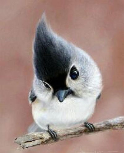 Марина Чемакина