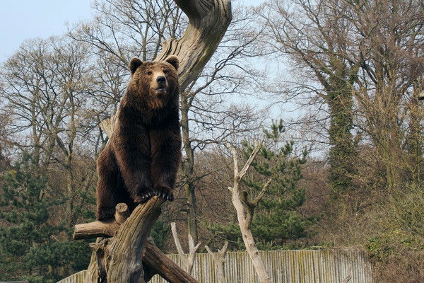 Алексей Попов