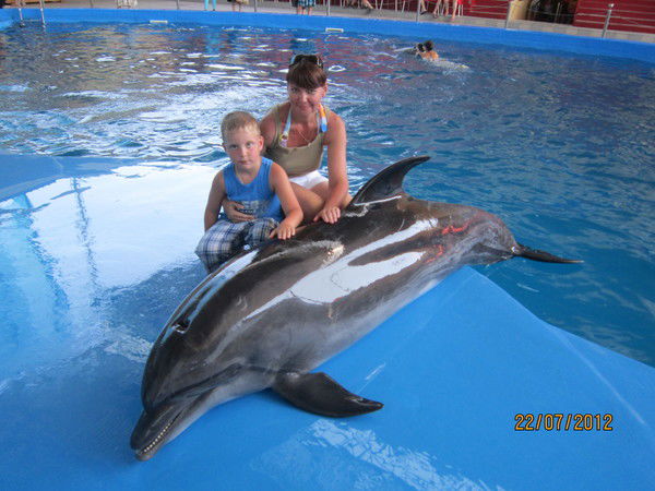 Светлана Полторецкая