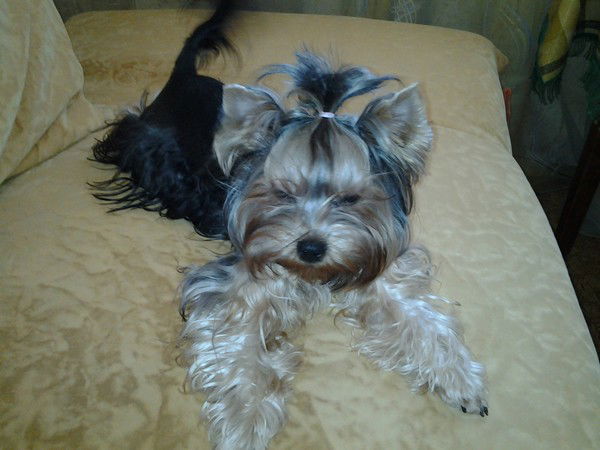 Елена Чвырева