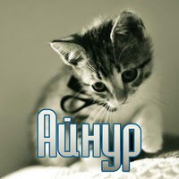 Айнура Бегдилдина