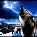 Гарри )))))))))