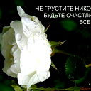 ******** @@@@@