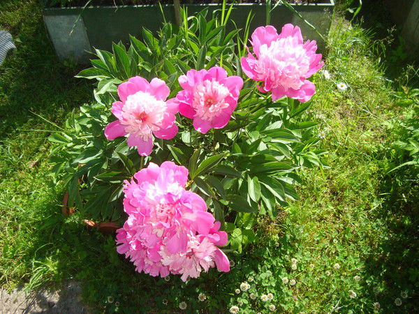 Татьяна ********