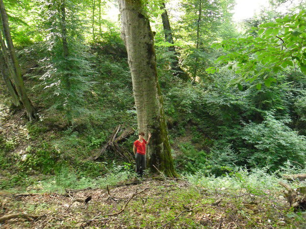 Елена Шитикова