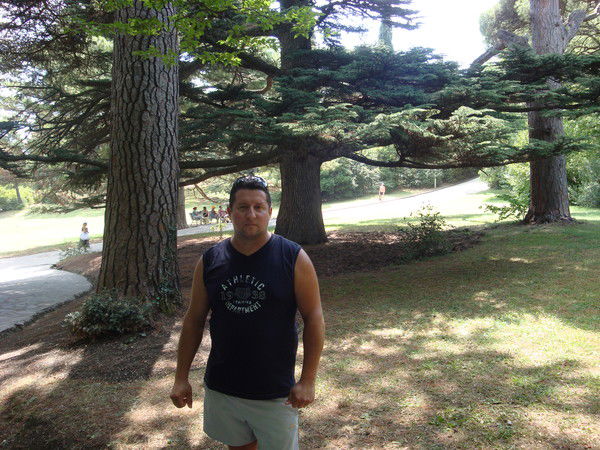 Станислав Недосека