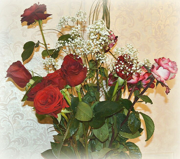 Марина Владимировна