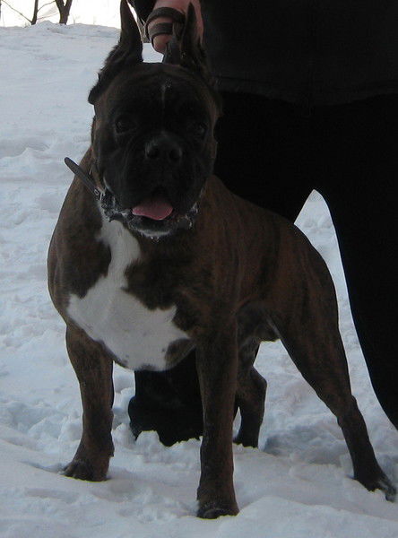 Галина Каретникова